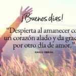 10 frases inspiradoras para creer en el poder de volar con alas