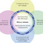 5 consejos de ergonomía para un ambiente laboral saludable