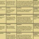 Cómo las proteínas pueden fortalecer tu sistema inmunológico