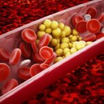 Descubre el papel clave de los ácidos grasos en el metabolismo