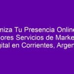 Experto en YouTube: Maximiza tu presencia online