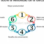 La importancia de la flexibilidad empresarial en las empresas familiares