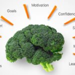 Cambios de dieta clave para perder peso y mejorar tu salud