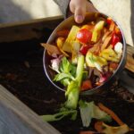 Compostaje casero: nutrientes para tu jardín de residuos orgánicos