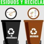 Descubre el fascinante proceso de reciclaje y cómo puedes contribuir