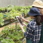 Últimas tendencias en agricultura y alimentación: innovación para una producción sostenible